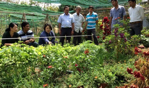 Ino Mayu (third left), head representative of ‘Seed To Table' in Vietnam, gives instructions to farmers in An Hoa Tay Commune on how to grow Participatory Guarantee Systems-certified greens.